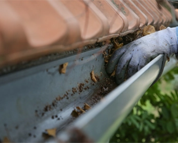 Nettoyage de gouttières en Val de Loire — curage manuel des feuilles mortes et débris d'une gouttière en zinc le long d'une toiture en tuiles terre cuite, méthode douce Eauxigen, devis gratuit sous 24h