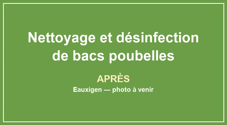 Résultat après le service Nettoyage et désinfection de bacs poubelles