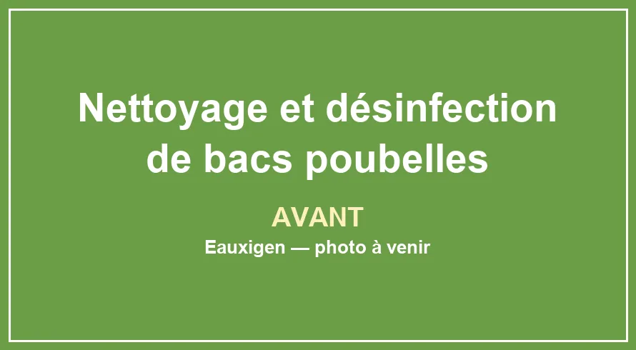État du support avant le service Nettoyage et désinfection de bacs poubelles