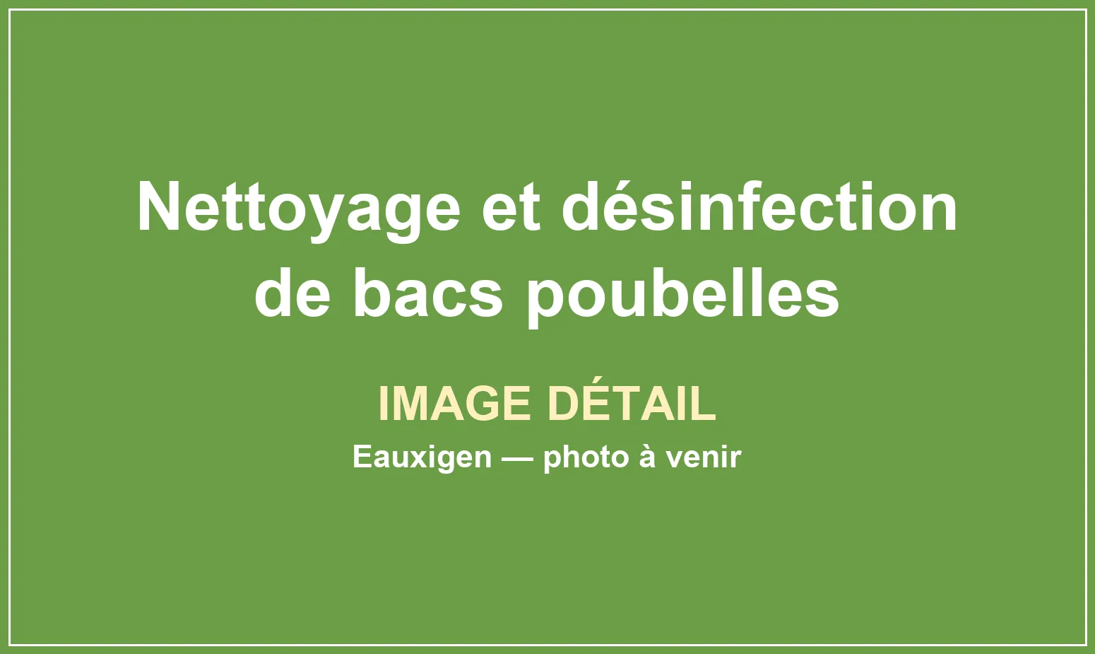 Vue complémentaire du service Nettoyage et désinfection de bacs poubelles réalisé par Eauxigen