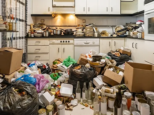 Débarras et nettoyage d’un logement insalubre (syndrome de Diogène) par Eauxigen