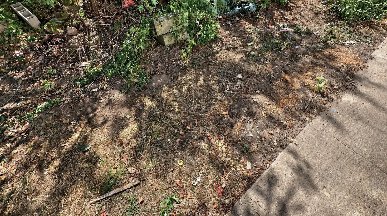 Déchets extérieurs après l’intervention : Nettoyage extrême Diogène dans une maison à Blois