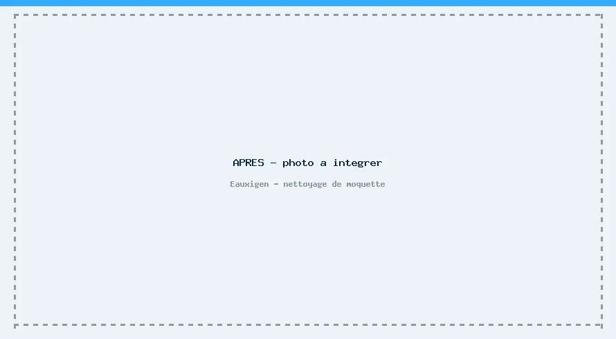 Emplacement provisoire pour la photo après du service Nettoyage de moquette