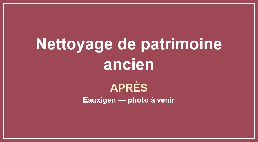 Emplacement provisoire pour la photo après du service Nettoyage de patrimoine ancien