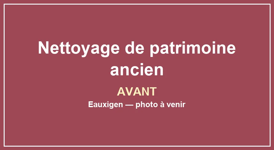 Emplacement provisoire pour la photo avant du service Nettoyage de patrimoine ancien