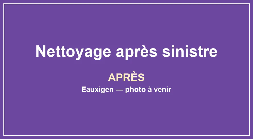Emplacement provisoire pour la photo après du service Nettoyage après sinistre