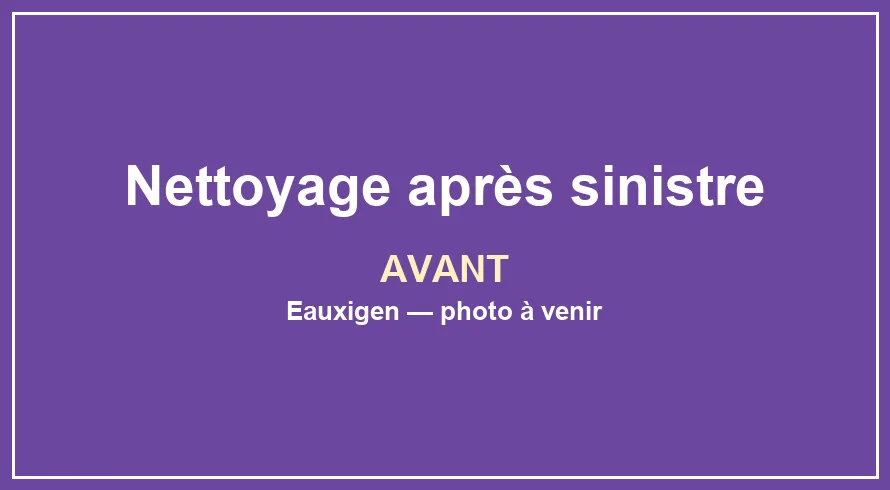 Emplacement provisoire pour la photo avant du service Nettoyage après sinistre
