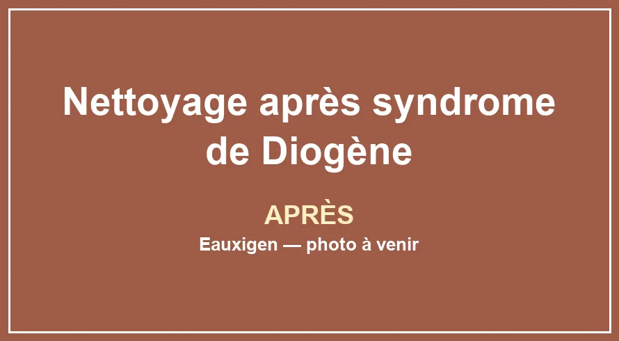 Résultat après le service Nettoyage après syndrome de Diogène