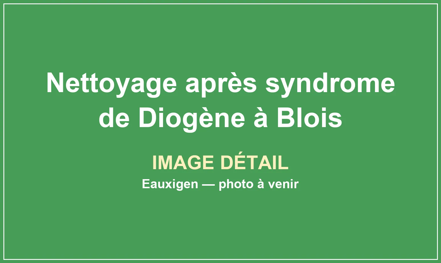 Tri et dégagement progressif d’un logement très encombré