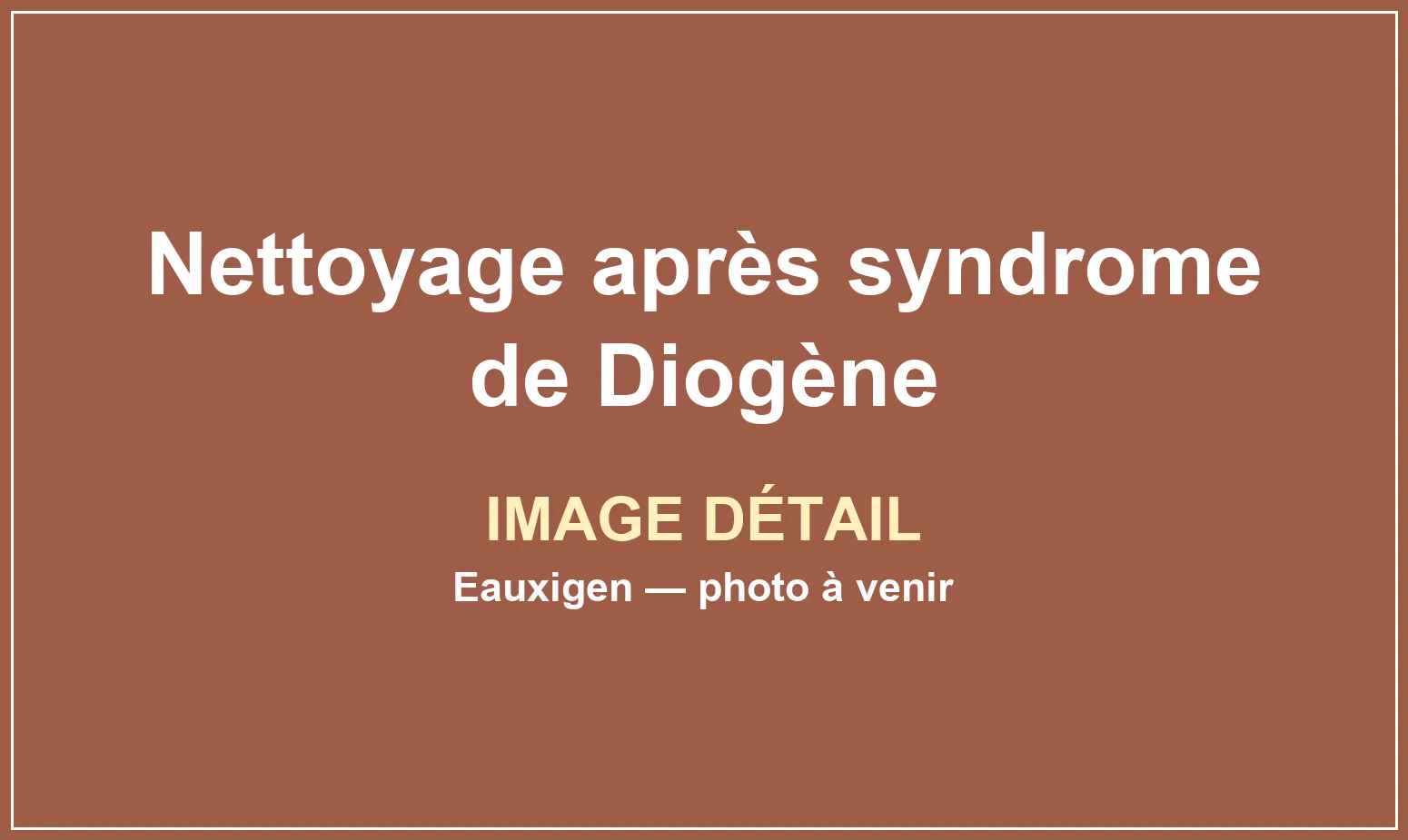 Vue complémentaire du service Nettoyage après syndrome de Diogène réalisé par Eauxigen
