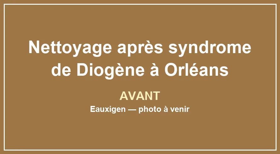Pièce très encombrée avant une intervention de remise en état