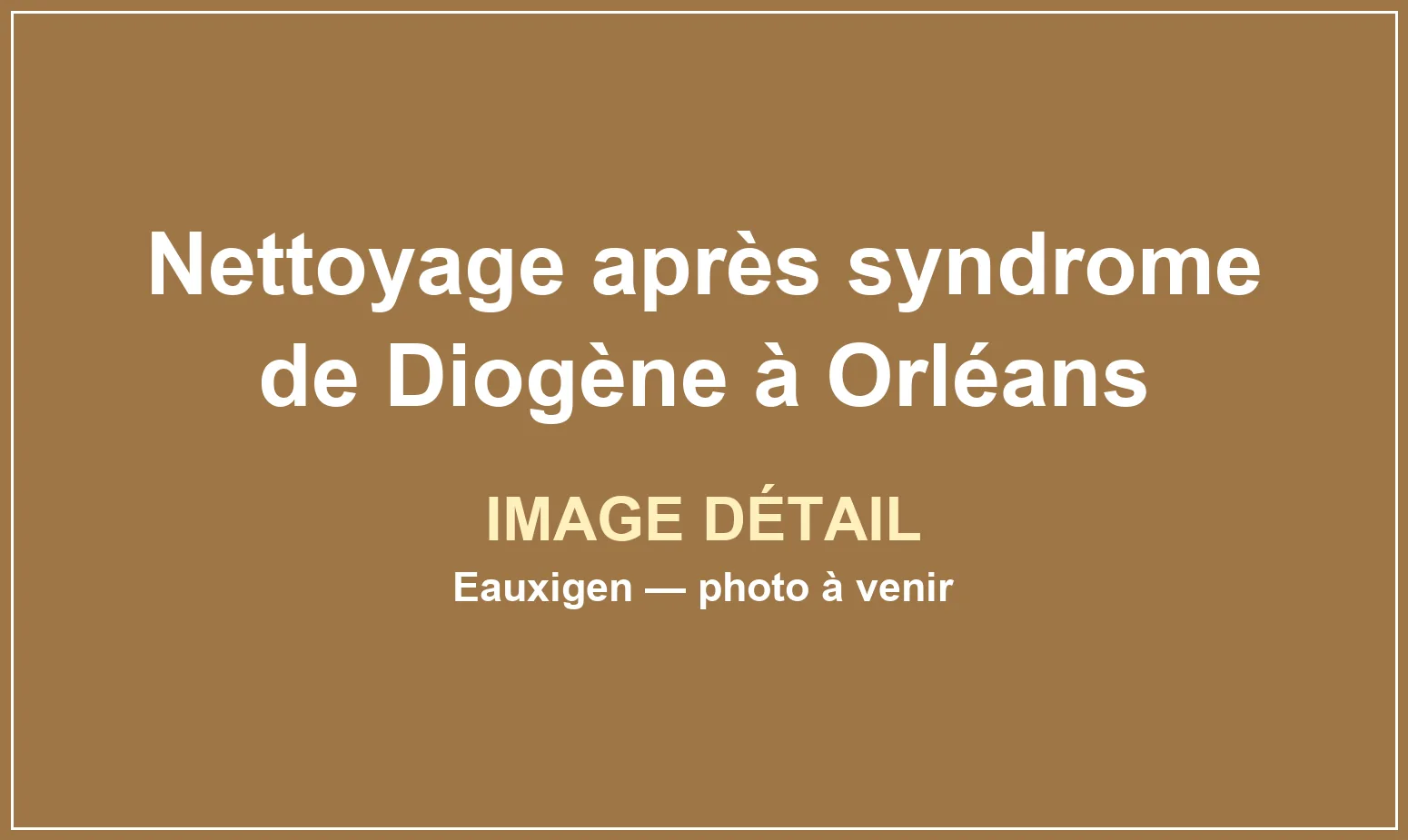 Tri et dégagement progressif d’un logement très encombré