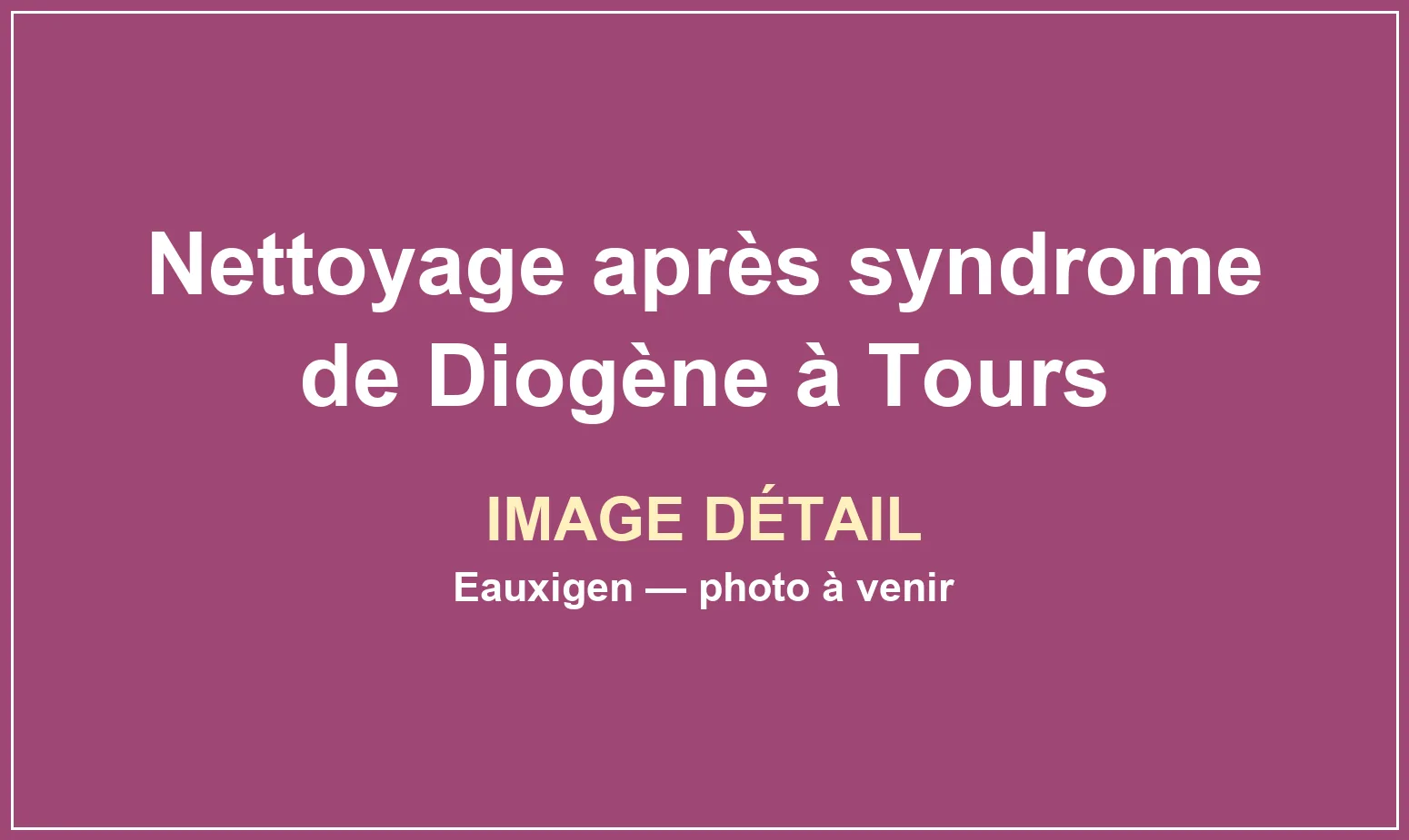 Tri et dégagement progressif d’un logement très encombré
