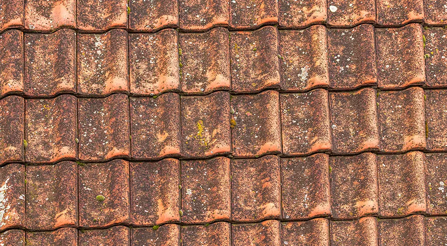 Toiture en tuiles rouges couverte de mousses avant nettoyage à Blois