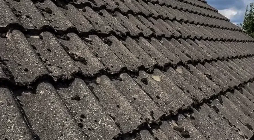 Dépôts et mousses accumulés sur une toiture en tuiles béton avant nettoyage à Blois