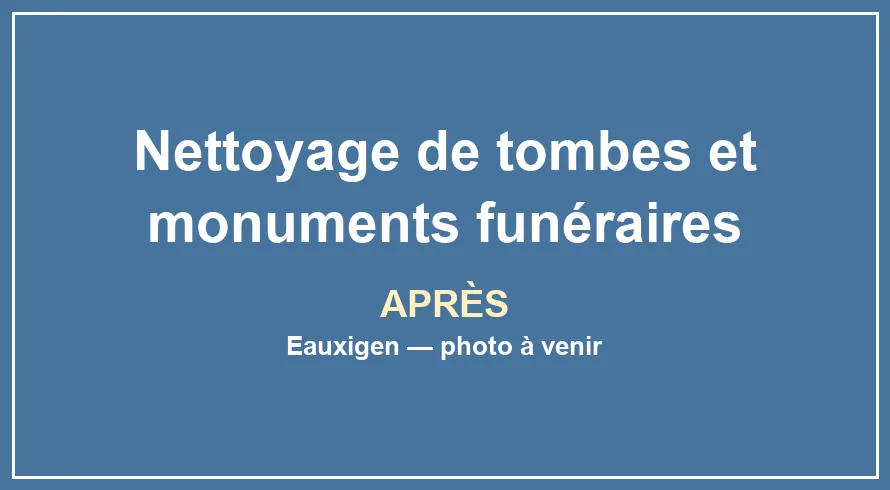 Emplacement provisoire pour la photo après du service Nettoyage de tombes et monuments funéraires