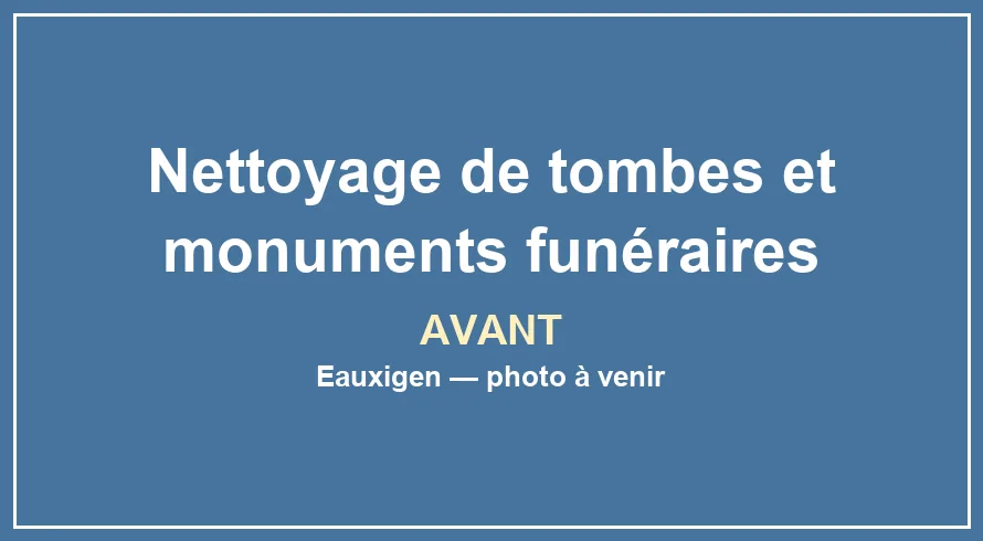 Emplacement provisoire pour la photo avant du service Nettoyage de tombes et monuments funéraires