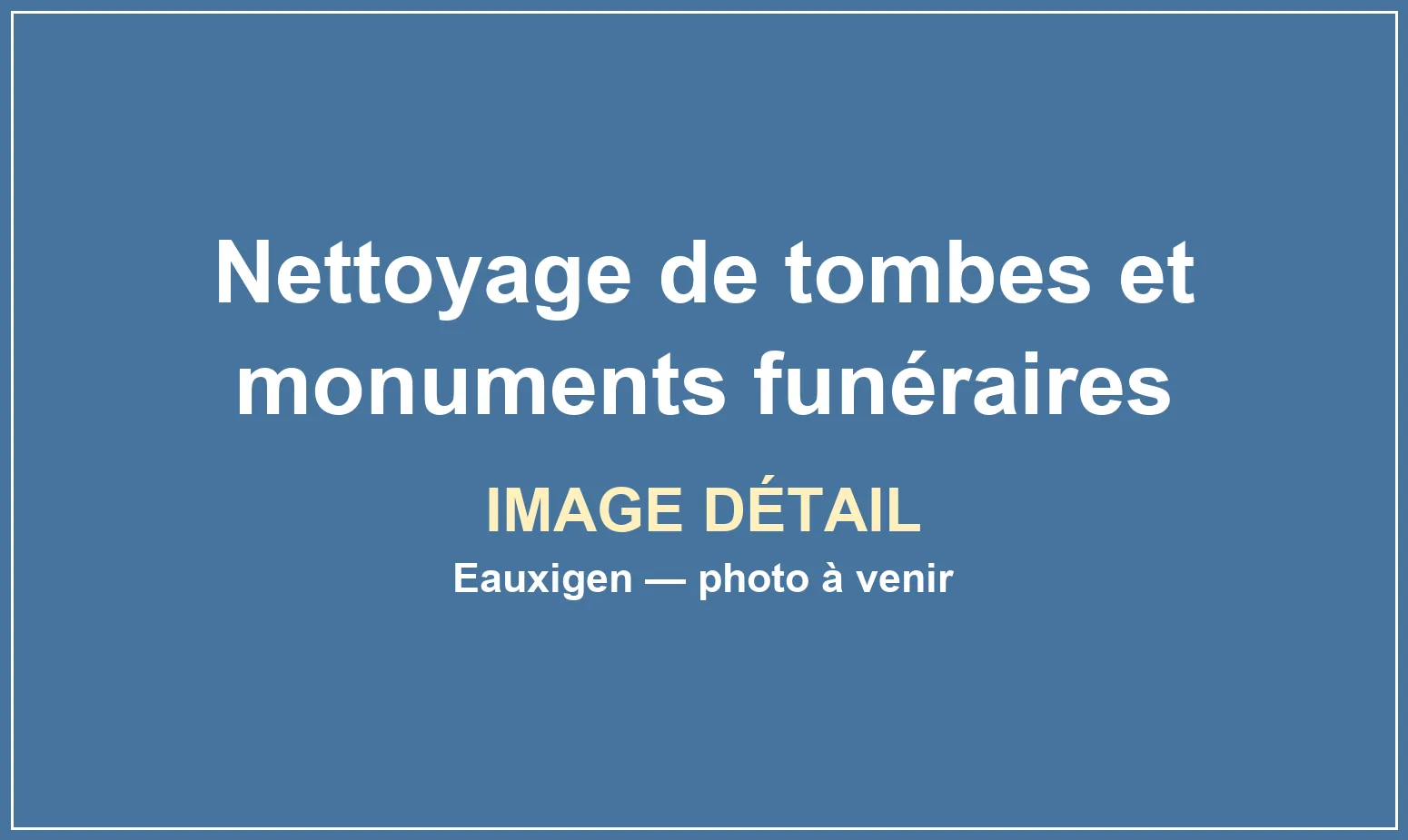 Vue complémentaire du service Nettoyage de tombes et monuments funéraires réalisé par Eauxigen