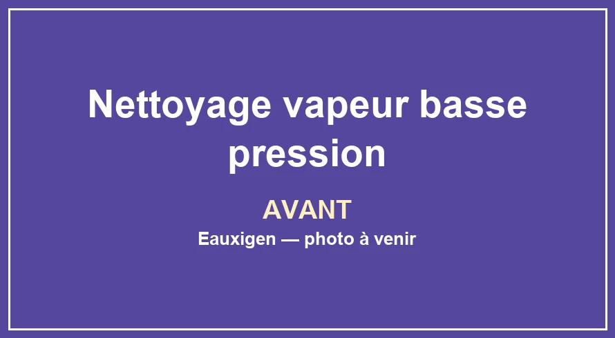 Emplacement provisoire pour la photo avant du service Nettoyage vapeur basse pression