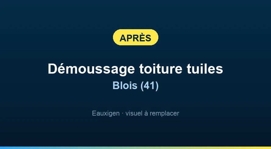 Résultat obtenu — Nettoyage d'une toiture à Blois Après : Nettoyage d'une toiture à Blois