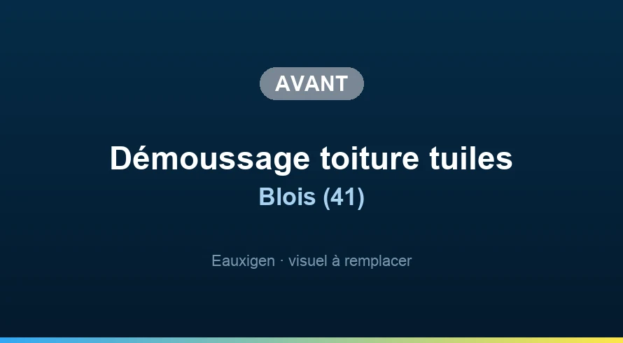Avant l’intervention — Nettoyage d'une toiture à Blois Avant : Nettoyage d'une toiture à Blois