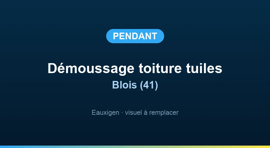 Pendant l’intervention — Nettoyage d'une toiture à Blois Pendant : Nettoyage d'une toiture à Blois
