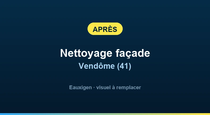 Après : Nettoyage d'un mur en briques à Blois