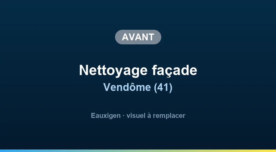 Avant : Nettoyage d'un mur en briques à Blois