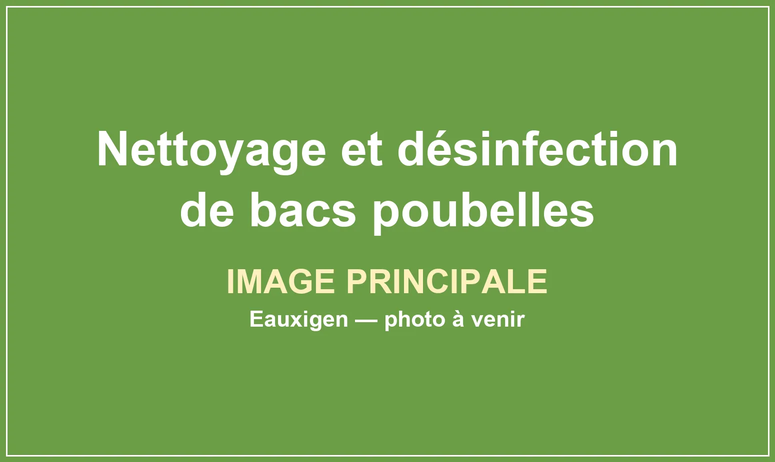 Nettoyage et désinfection professionnelle de bacs poubelles
