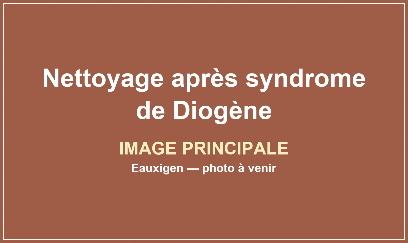 Intervention de nettoyage dans un logement très encombré